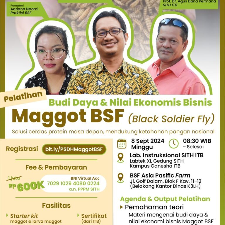 Budi Daya & Nilai Ekonomi Bisnis Maggot BSF (Black Soldier Fly)
