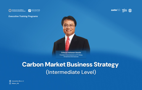 Carbon Market Business Strategy (Intermediate Level)
