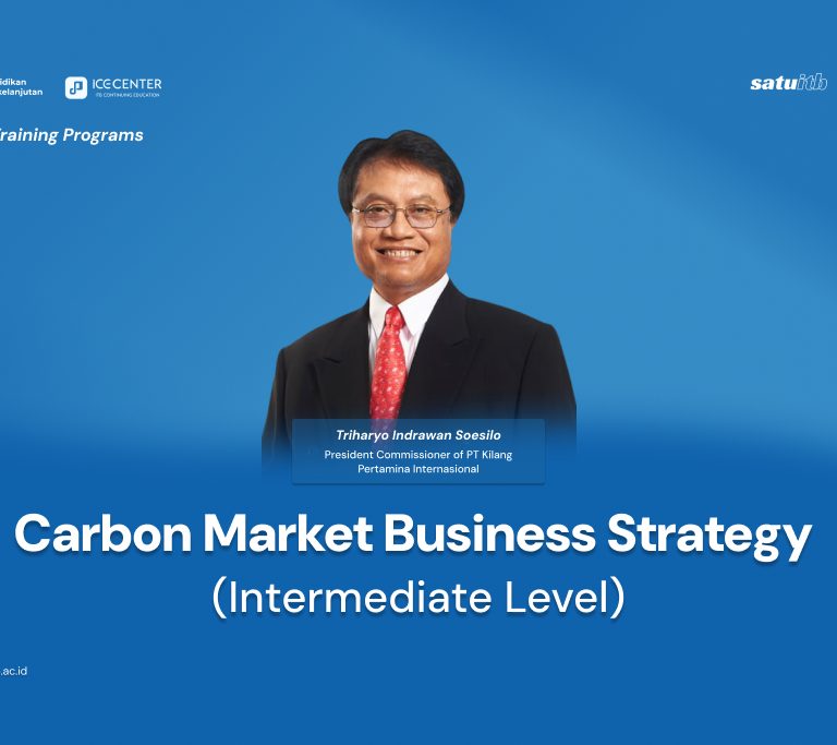 Carbon Market Business Strategy (Intermediate Level)