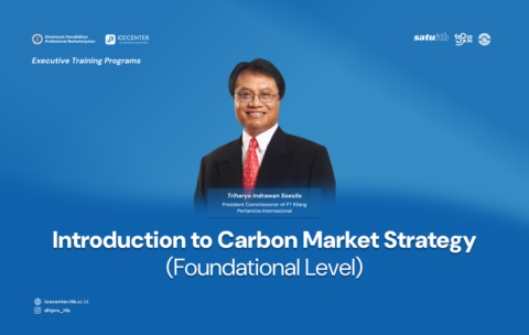 Introduction to Carbon Market Strategy (Foundational Level)