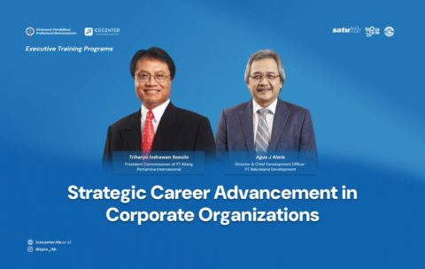 Strategic Career Advancement in Corporate Organizations
