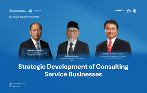 Strategic Development of Consulting Service Businesses