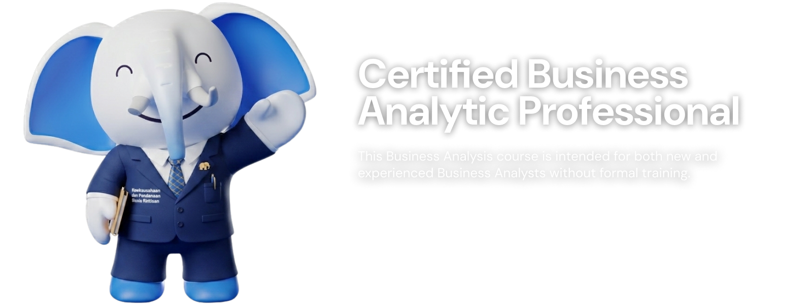 Certified Business Analytic Professional
