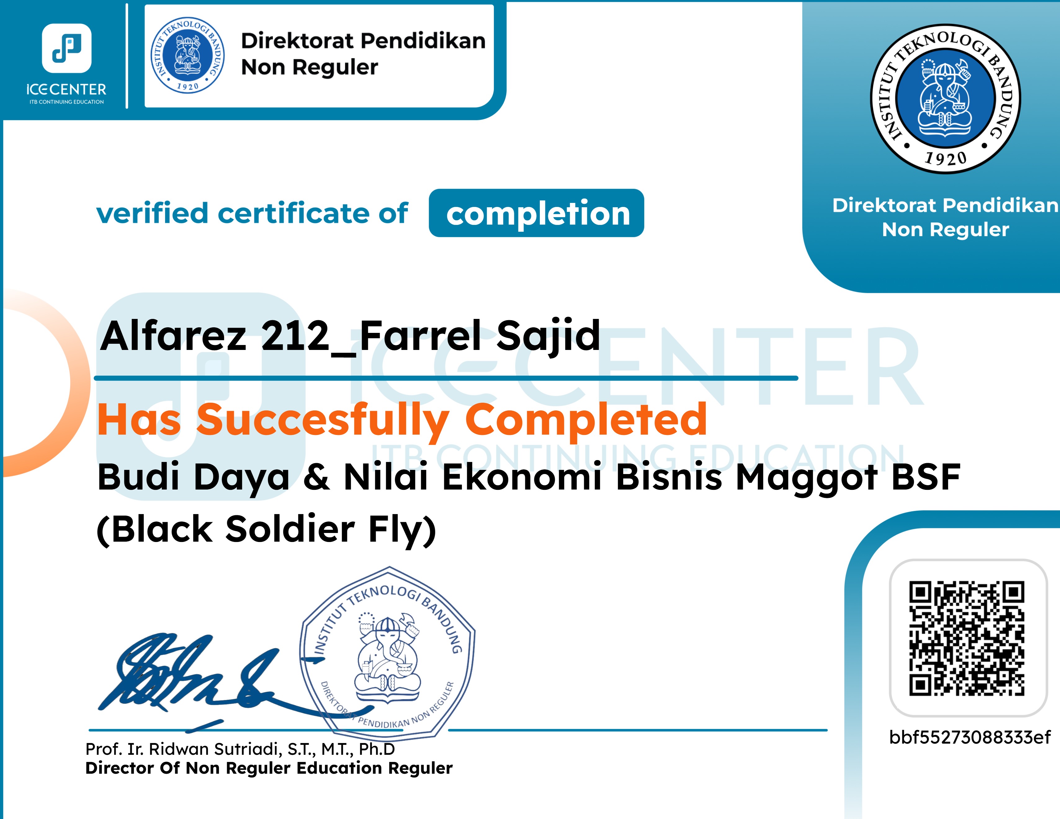 Budi Daya & Nilai Ekonomi Bisnis Maggot BSF (Black Soldier Fly)