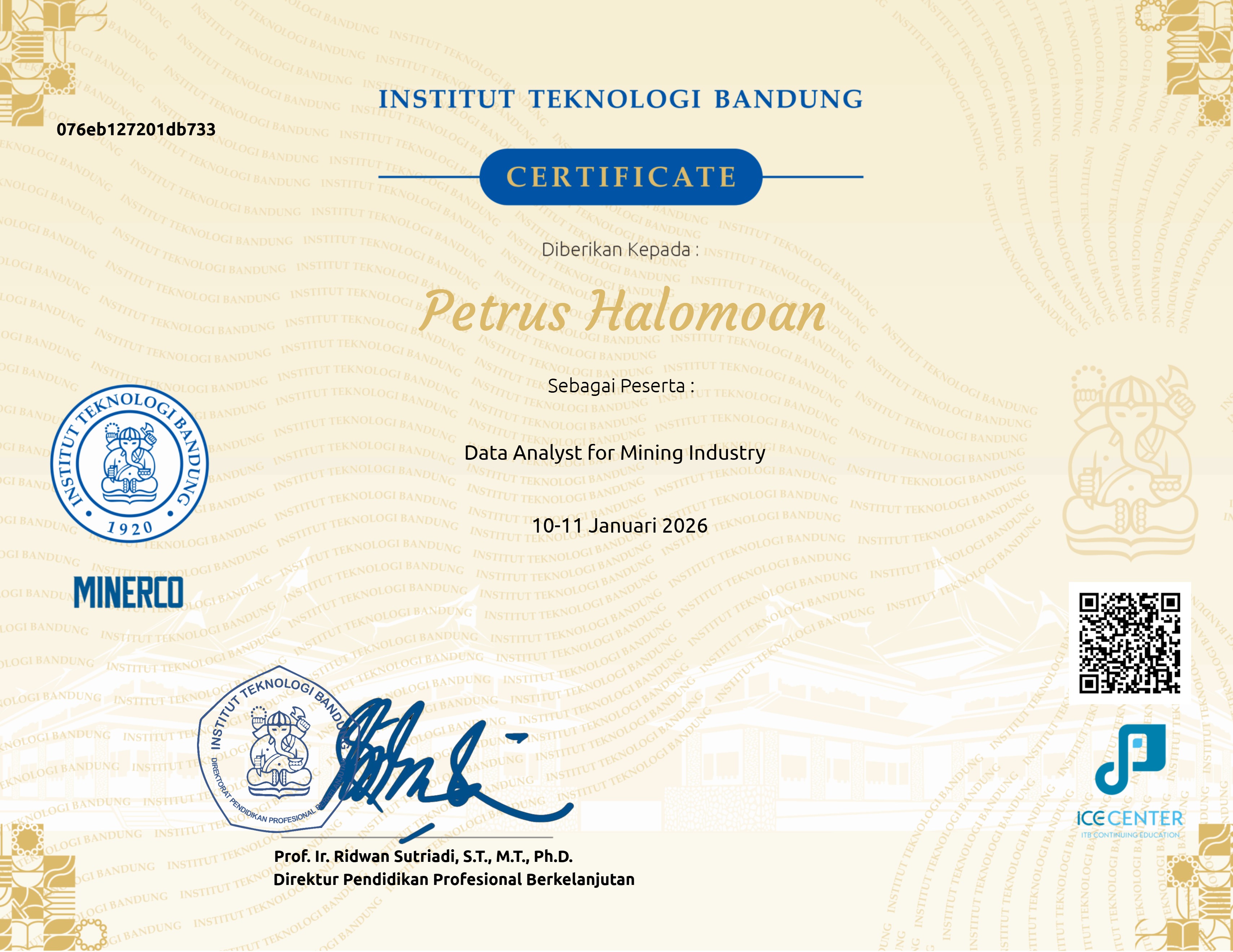 Data Analyst for Mining Industry