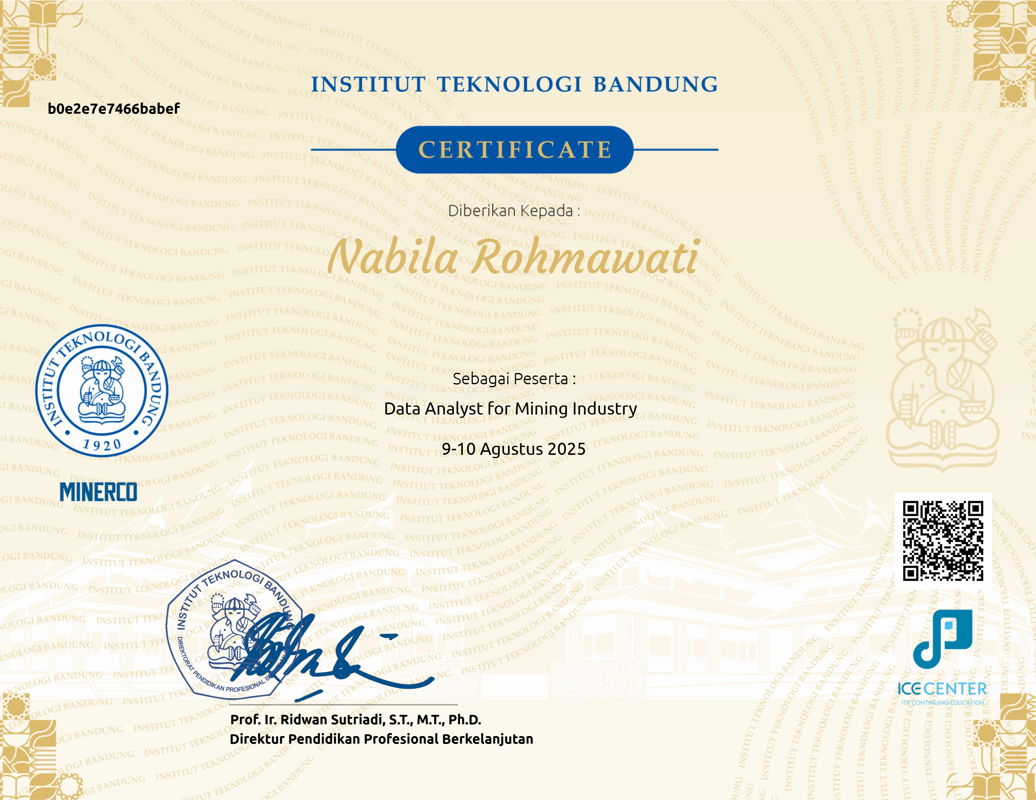 Data Analyst for Mining Industry