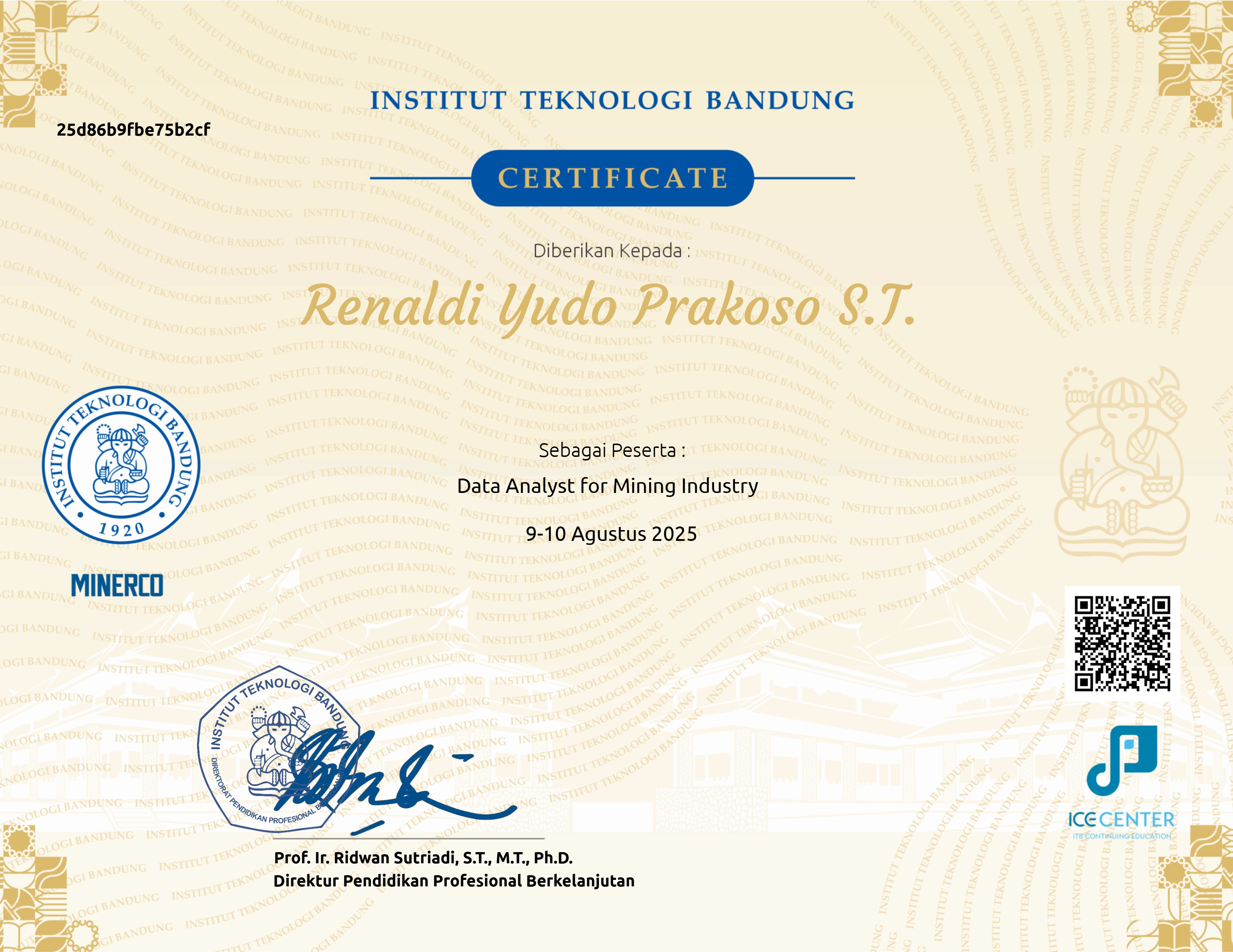 Data Analyst for Mining Industry