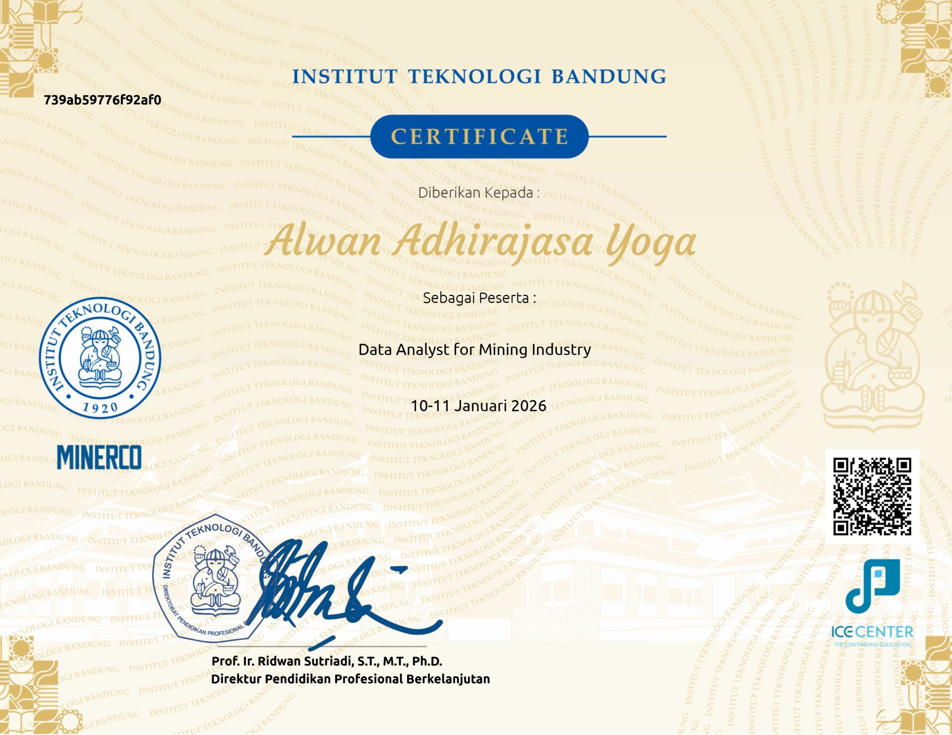 Data Analyst for Mining Industry